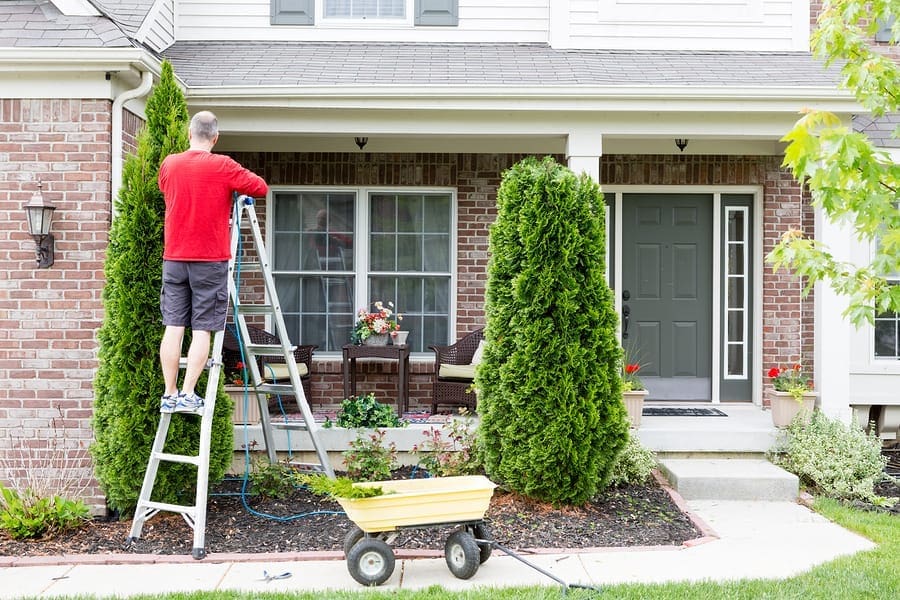 Featured image for “Spring Maintenance Tips for the Home”